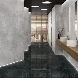 銀曜灰實景圖